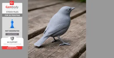 American pipit - Prehistoric Animal STL