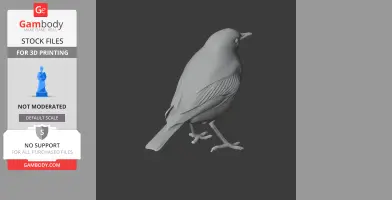 American pipit - Prehistoric Animal STL