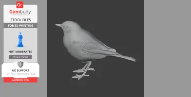 American pipit - Prehistoric Animal STL