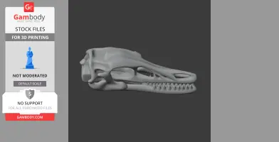 Ambopteryx Skull - Skull Replica STL