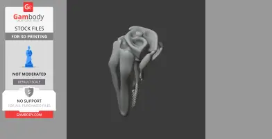 Ambopteryx Skull - Skull Replica STL