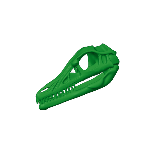 Ambopteryx Skull.3mf