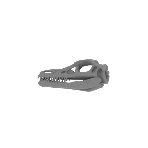 Ambopteryx Skull.stl