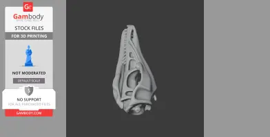 Ambopteryx Skull - Skull Replica STL