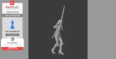 Ciri Witcher 3 Figurine - Character Figure STL