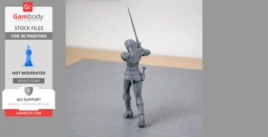 Ciri Witcher 3 Figurine - Character Figure STL