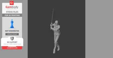 Ciri Witcher 3 Figurine - Character Figure STL