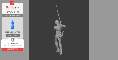 Ciri Witcher 3 Figurine - Character Figure STL