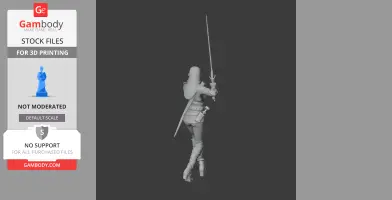 Ciri Witcher 3 Figurine - Character Figure STL