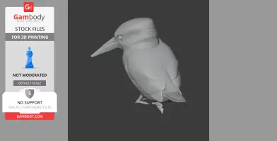 3D model of an American pygmy kingfisher, featuring detailed feathers and a sleek beak, for printing.