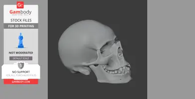 Analong Skull - Skull Replica STL