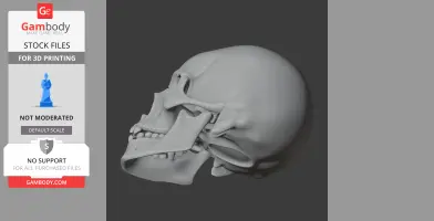 Analong Skull - Skull Replica STL