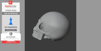 Analong Skull - Skull Replica STL