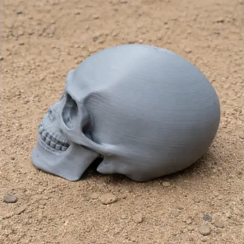 A gray 3D-printed skull model lying on sandy ground.