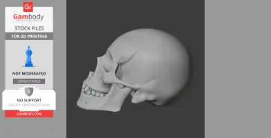 Analong Skull - Skull Replica STL