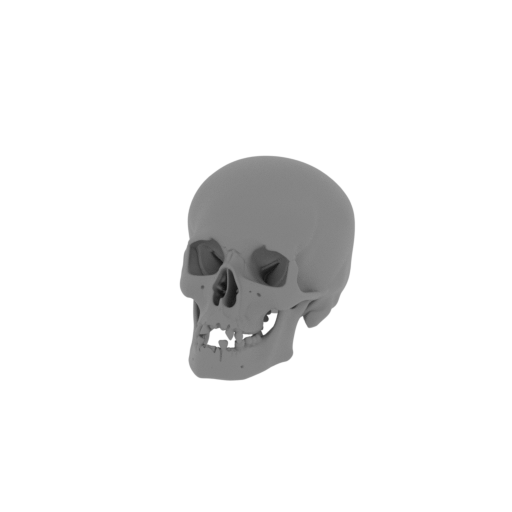 Analong Skull.stl