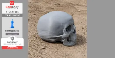 Anhuilong Skull - Skull Replica STL