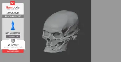 Anhuilong Skull - Skull Replica STL