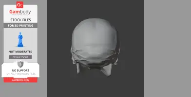Anhuilong Skull - Skull Replica STL