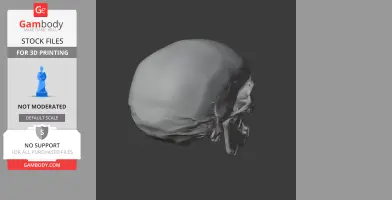Anhuilong Skull - Skull Replica STL