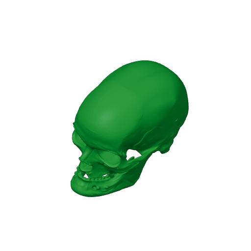 Anhuilong Skull.3mf