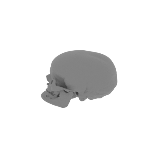 Anhuilong Skull.stl