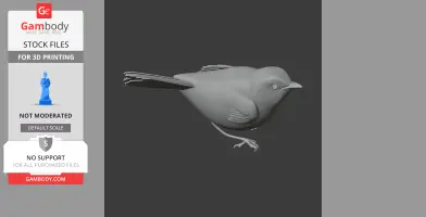 3D model of a bird with detailed feathers and a long tail, designed for 3D printing.