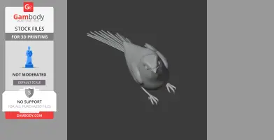 A 3D model of a bird with detailed wings, tail, and claws, viewed from the front.