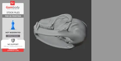3D model of an Ankistrodon skull, showcasing detailed teeth and bone structure, suitable for 3D printing.