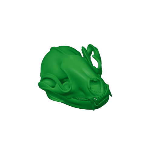 Ankistrodon Skull.3mf