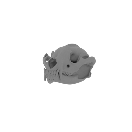 Ankistrodon Skull.stl