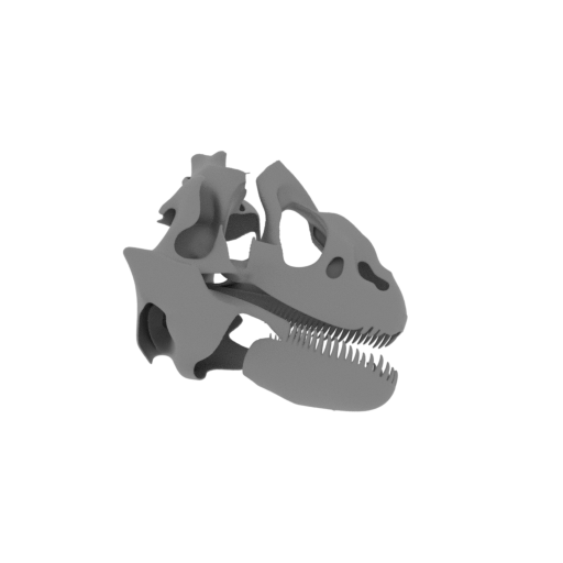 Antrodemus Skull.stl
