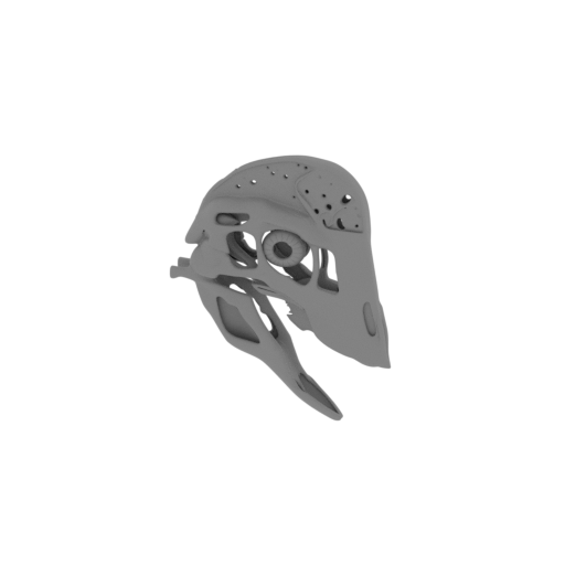 Anzu Skull.stl