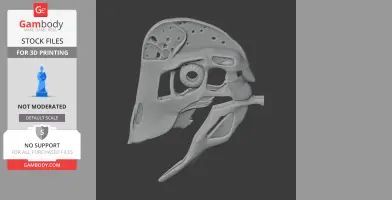 3D model of an Anzu skull, featuring detailed bone structures, ideal for 3D printing.