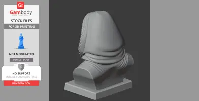 Roald Amundsen Bust - Historical Warrior STL
