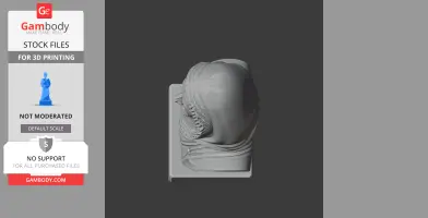 Roald Amundsen Bust - Historical Warrior STL