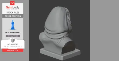 Roald Amundsen Bust - Historical Warrior STL