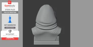 Roald Amundsen Bust - Historical Warrior STL