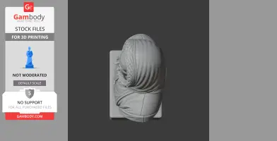 Robert Falcon Scott Bust - Historical Warrior STL