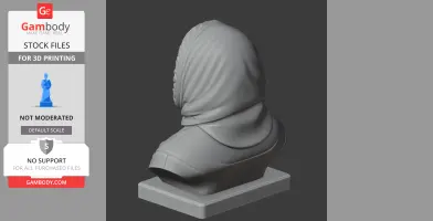 Robert Falcon Scott Bust - Historical Warrior STL