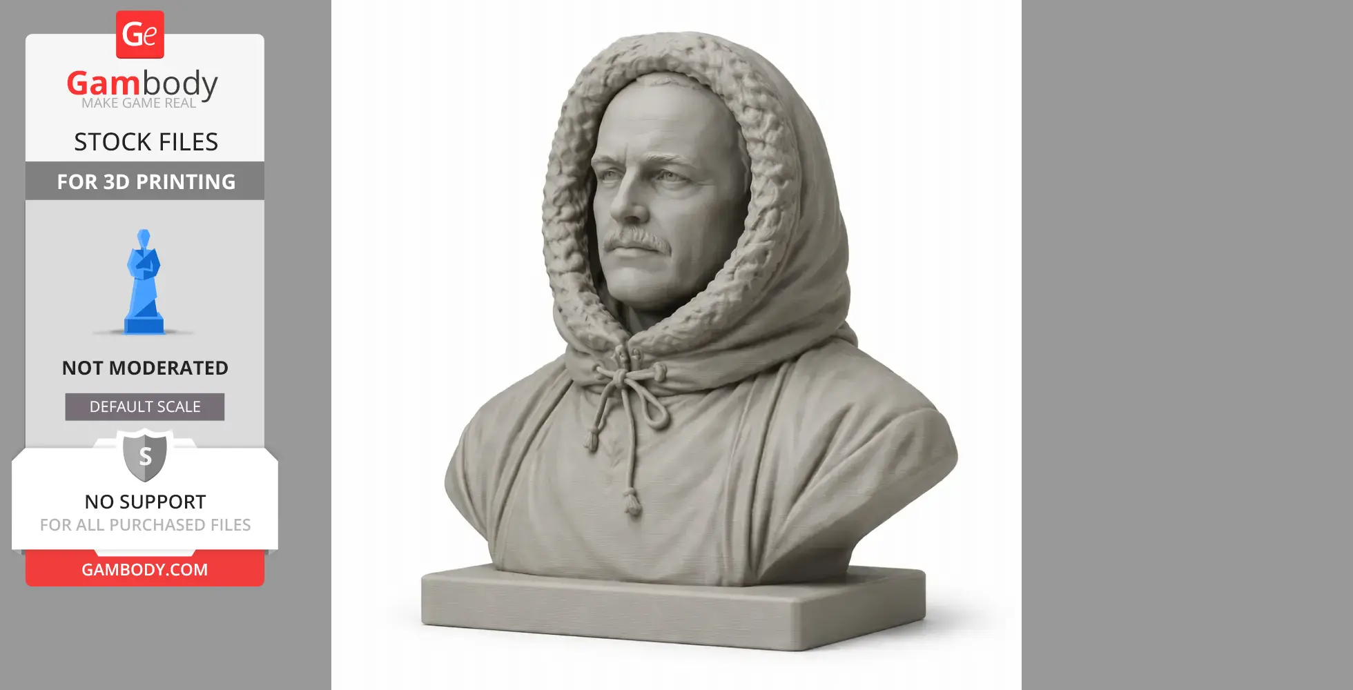 Robert Falcon Scott Bust - Historical Warrior STL