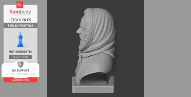 Robert Falcon Scott Bust - Historical Warrior STL