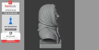 Robert Falcon Scott Bust - Historical Warrior STL