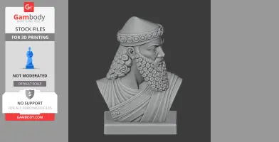 Sargon of Akkad Bust - Historical Warrior STL