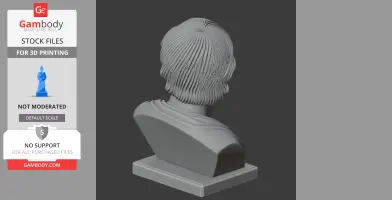 Seneca Bust - Historical Warrior STL
