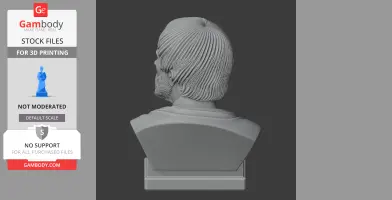 Seneca Bust - Historical Warrior STL