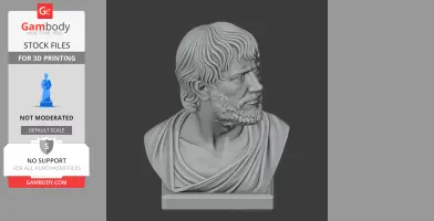 Seneca Bust - Historical Warrior STL