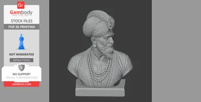 Shah Jahan Bust - Historical Warrior STL