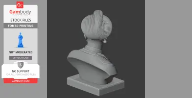 Shah Jahan Bust - Historical Warrior STL