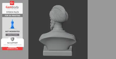 Shah Jahan Bust - Historical Warrior STL